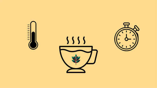 Tea brewing guide banner with thermometer and timer icons representing optimal temperature and steep time for perfectly brewed Goldholly yaupon tea.