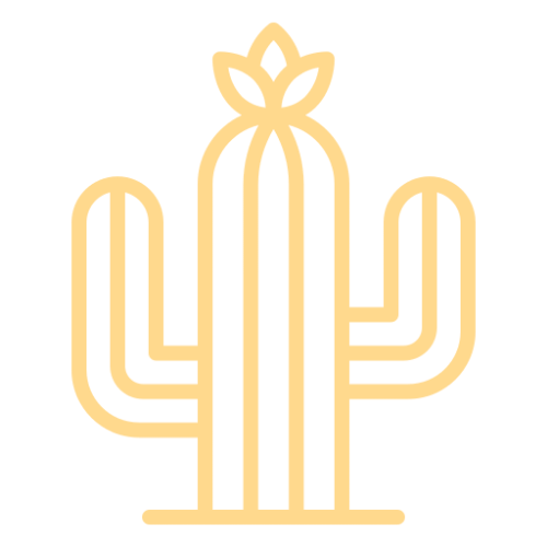 A graphic of a cactus, symbolizing yaupon tea's regenerative origins and benefits.